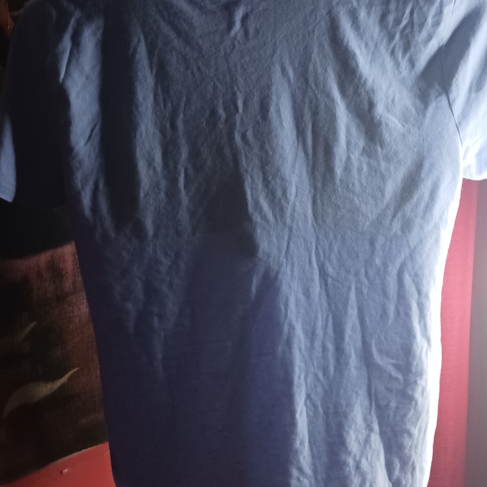 Blue Shirt - Picture 5 of 8
